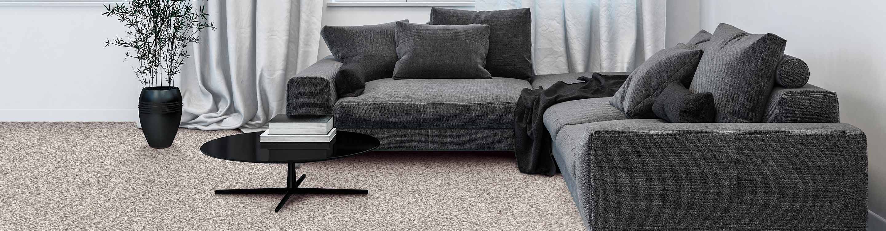 light colored carpet in dark living area
